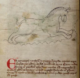 CCA-LitMs / D / 10 fol. 2v Monoceros, from Bestiarydani
