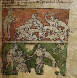 CCA-LitMs/D/10 fol. 6r Dog, fra Bestiary