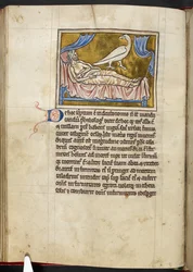 Caladrius fugl - Bestiarium, Royal MS 12 C XIX, f.47v