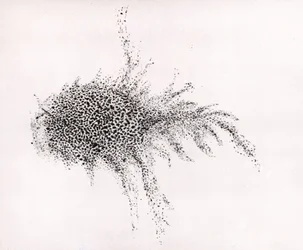 "Krabbetågen" af William Parsons, fra "Observations on some of the Nebulae" fra "Philosophical Transactions of the Royal Society".