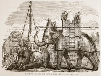 Elefant udstyret til kamp, med rustning, howdah osv., illustration fra Cassells Illustrated History of India af James Grant, pub. 1879