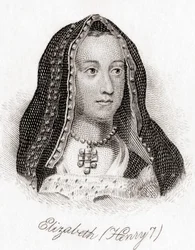 Elizabeth af York