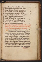 Uddrag fra Henry of Huntingdons Historia Anglorum, Cotton MS Titus D XXIV, f.127r (pergament)