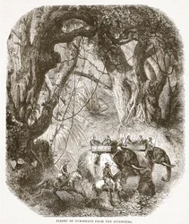 Flight of Europeans from the Mytery, illustration fra Cassells Illustrated History of England