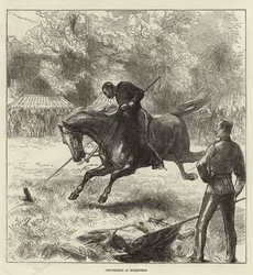 Forsiden af Illustrated London News, 12. juni 1875