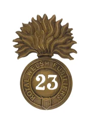 Glengarry-emblem, ca. 1874-81 (messing)