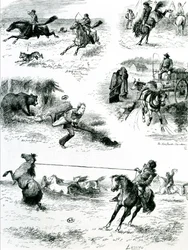 Livet i Manitoba, 1877
