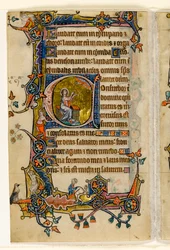 MS 1-2005, fol. 207v: Isaiah Praying, historisk initial a fra Macclesfield Psalter, Use of Sarum, East Anglia, ca. 1330