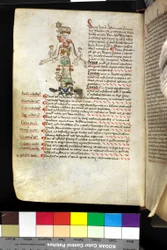 MS Hunter 251 f.47v, illustration af en 