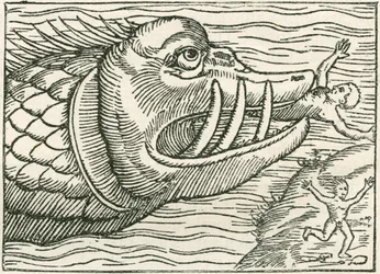 Mand bliver spist af en søslange. Illustration fundet i kanten af et kort udarbejdet af Olaus Magnus
