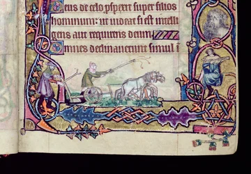Ms 1-2005, ff.76v-77r: David and the fool, historisk initial fra Macclesfield Psalter, Use of Sarum, East Anglia, ca. 1330 (vellum) (detaljer fra 276994)