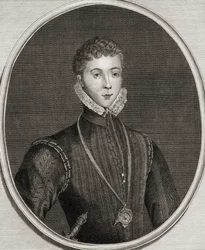 Portræt af Henry Stewart (1545-67) Lord Darnley