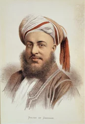 Portræt af Sayyid Barghash (ca. 1834-88), Sultan af Zanzibar (litho-farve)