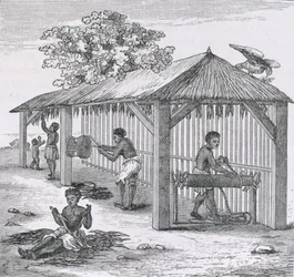 Preparing Tobacco, fra 
