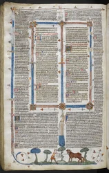 Kongelig 10 E IV fol. 294v Mand angriber en okse, fra Smithfield Decretals (Decretals of Gregory IX) c.1340 (vellum)