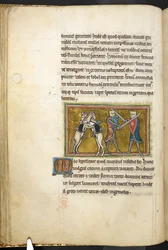Royal 12 F.XIII, f.42v To riddere kæmper til fods med sværd, mens deres heste kæmper mod hinanden på bagben. , fra Bestiary (ff. 3-141), Lapidary (ff. 141v-149)  , 2. kvartal af det 13. århundrede (vellum)