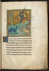 Kongelig 12 F.XIII, f.7   En leopard, der jager en kronhjort, med en kamel og et andet dyr.  fra Bestiary (ff. 3-141), Lapidary (ff. 141v-149)  2. kvartal af det 13. århundrede