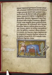 Royal MS 12 C XIX, f.7v Antilope, fra 