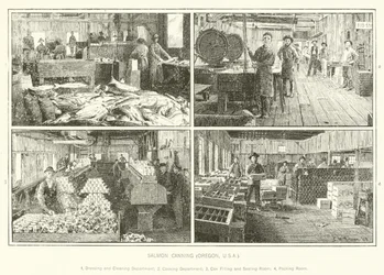 Salmon Canning, Oregon, USA