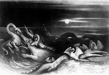 Sea Monsters Fight, fra 