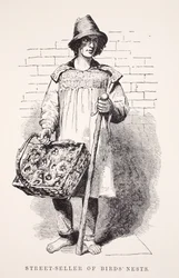 Gadesælger af fuglereder, illustration fra London Labor og London Poor af Henry Mayhew, pub. 1862