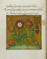Kongemagtens symboler, illustration til 