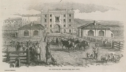 Islingtons nye marked