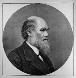 The Late Mr C. R. Darwin, FRS, LLD, fra The Illustrated London News, 29. april 1882