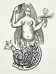 Wonder of Wonders, illustration fra Chap-books of the Eighteenth Century af John Ashton, pub. 1882