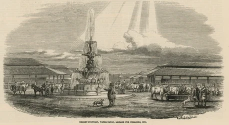 Det nye Metropolitan Kvægmarked, Copenhagen Fields: Markedsfontæne, vandtanke, opstaldning til stude mv.