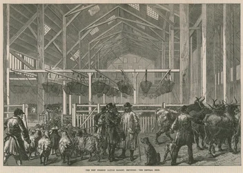 Det nye udenlandske kvægmarked, Deptford, London - det centrale stald