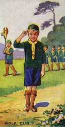 Ulveunge, 1923