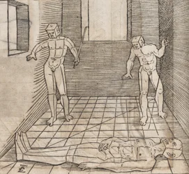 Bestemmelse af løjernes proportioner og position, 1538.