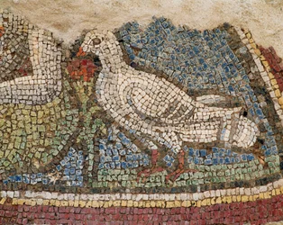 En due. Mosaik fra de skrånende huse i Efesos, Tyrkiet.