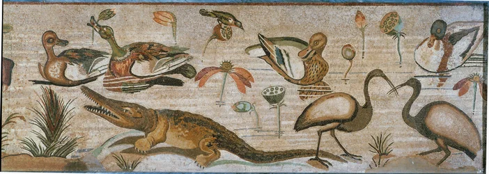 Vandlevende dyr. En del af et mosaikbånd fra Pompeji, Italien.
