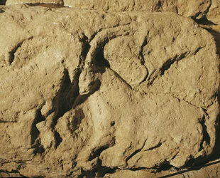 Kæmpende væddere (stenrelief)