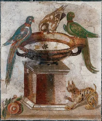 Fugle drikker fra et fuglebad