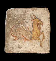 Capricorn 244-245 CE ...