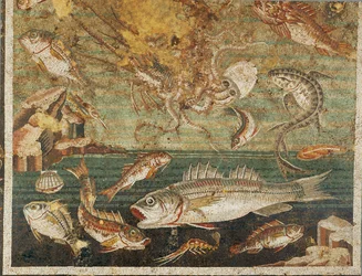 Havfauna, fisk, Faunens hus, Pompeji