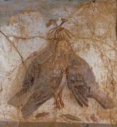 Tre hængende fugle fra Pompeji, Italien (vægmaleri)