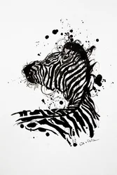 Vild zebra med blækstænk