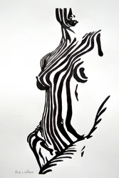 Zebrastribet nude