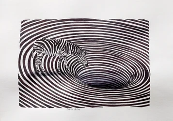 Zebra-hvirvel-illusionen