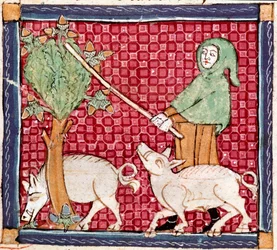 September: grise spiser agern. Miniature taget fra "Breviaire d