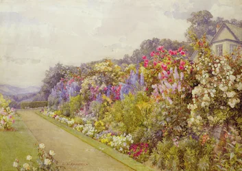 Delphinium Border, ved 