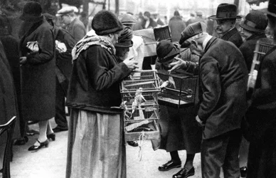En gruppe af købere af kanariefugle, Paris, 1931.