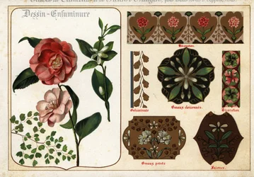Billeder af kameliaer og orange blomster fra manuskripter og deres
