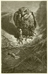 Høgen og Nattergalen