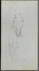 Skitsebog, side 09: Studie af en hest