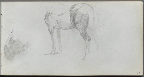 Skitsebog, side 73: Studie af en hest, profil